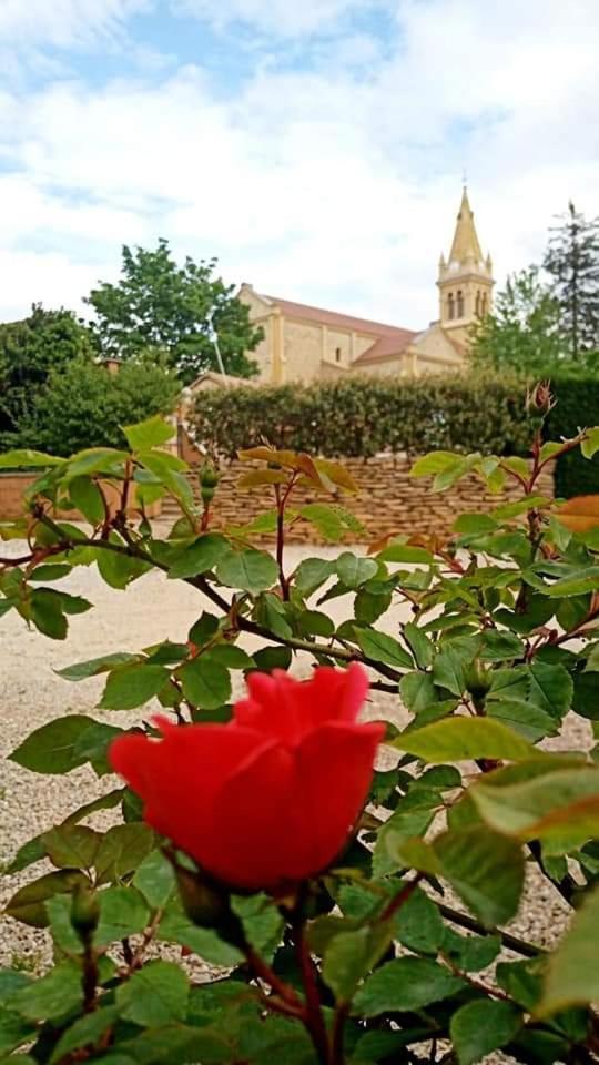 Les Jardins Du Castel Annick Et Jean Paul Saint-Georges-d'Esperanche